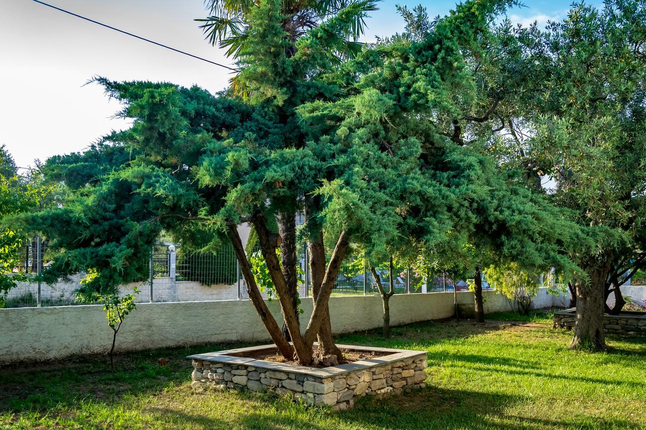 Βίλα Δάφνη Λιμένας Εξωτερικό φωτογραφία